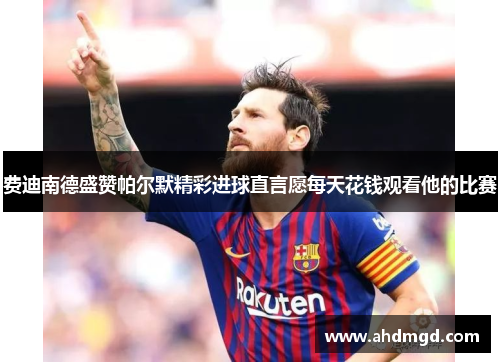 费迪南德盛赞帕尔默精彩进球直言愿每天花钱观看他的比赛