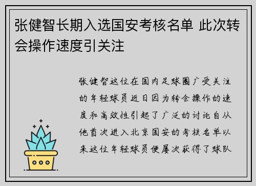 张健智长期入选国安考核名单 此次转会操作速度引关注