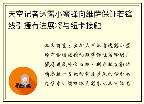 天空记者透露小蜜蜂向维萨保证若锋线引援有进展将与纽卡接触